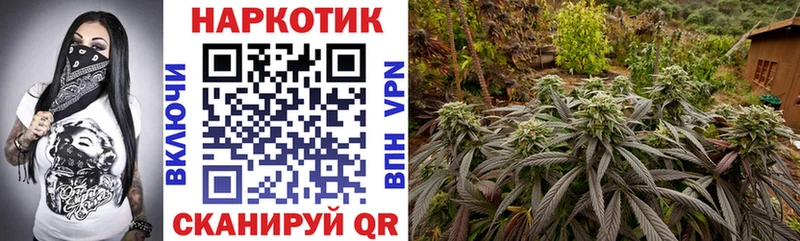 Купить наркотик Петрозаводск Конопля  АМФ  Меф мяу мяу 