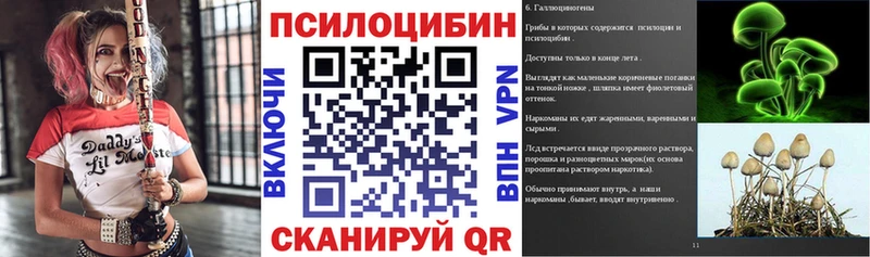 Галлюциногенные грибы мицелий  Петрозаводск 